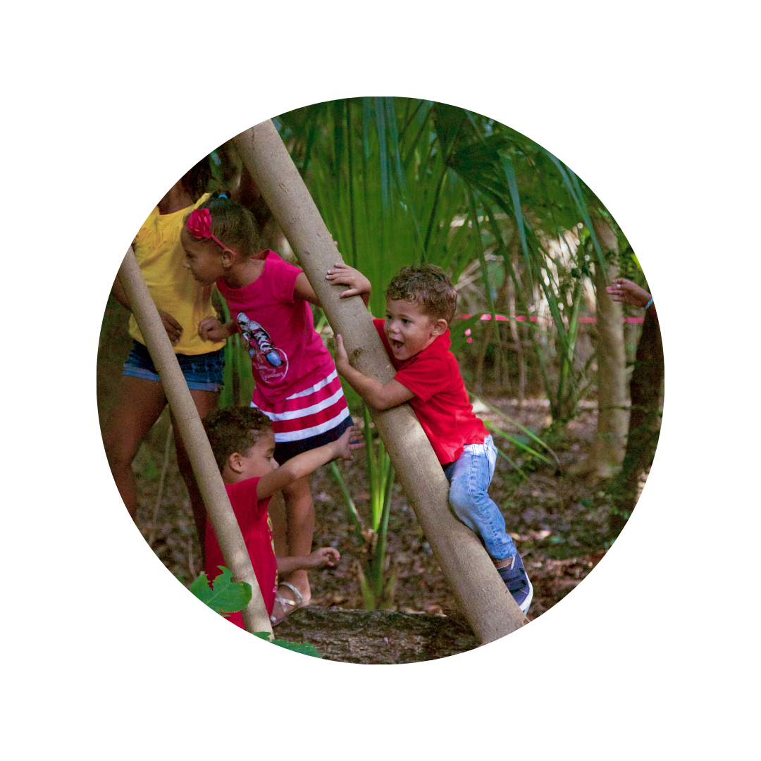 Ontwerp zonder titel (24)